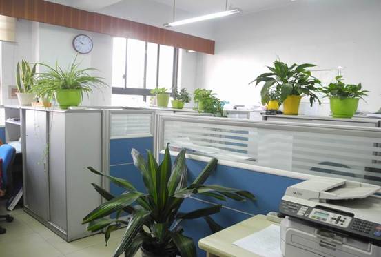 基本介紹3.jpg 基本介紹3.jpg